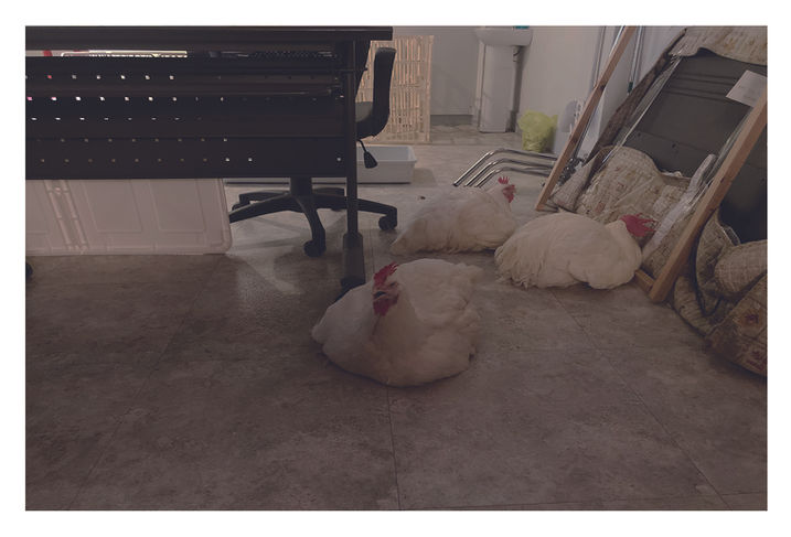 소화계책 내지 (제본용)_굵기조정_페이지_051.jpg