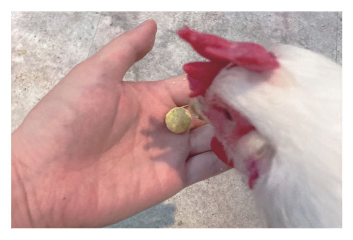 소화계책 내지 (제본용)_굵기조정_페이지_397.jpg