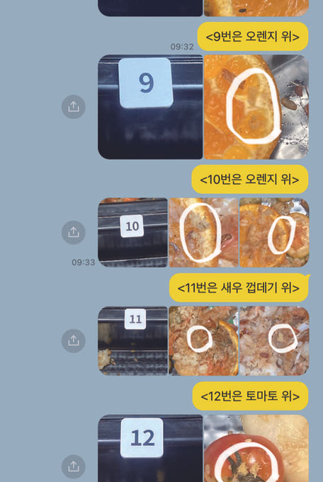 비빔 엽서_0010_7.jpg