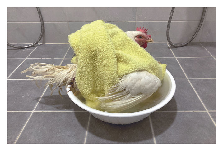 소화계책 내지 (제본용)_굵기조정_페이지_305.jpg