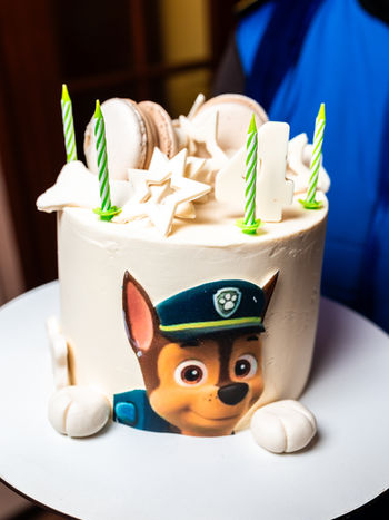 Оbolon_party_room, Оболонь пати рум приміщення для святкування дня народження Київ, аніматори Аніматори в Києві "Щенячий патруль" -Скай, Маршал,Гонщик, Еверест. Дитяче свято та день народження дитини Київ. Приміщення для дитячого свята в Києві. Аніматори в Києві "Щенячий патруль" -Скай, Маршал, Гонщик, Крипиш, Еверест. 