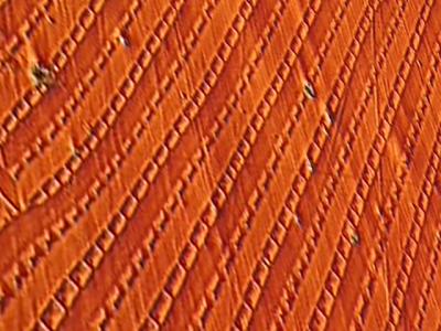 This image shows a never before seen highly periodic magnetic 'cells' or 'domains' in iron-gallium alloys responsible for non-Joulian magnetism. Credit Harsh Deep Chopra/Temple University