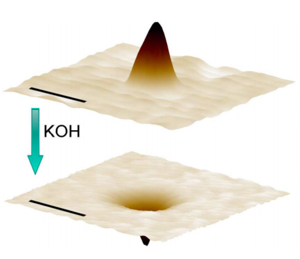 Fig. 2. The laser-treated surface of the glass before and after the application of alkali. (from the article)