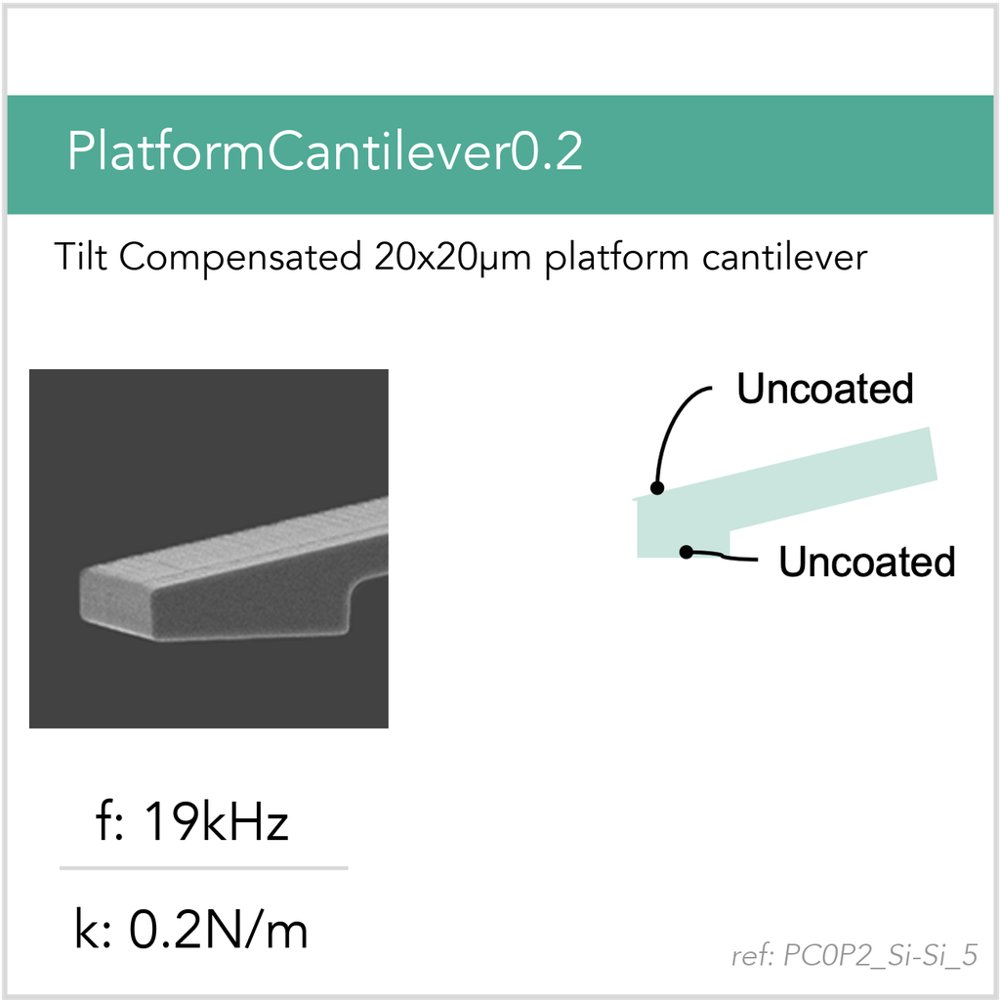 PlatformCantilever0.2 Si-Si