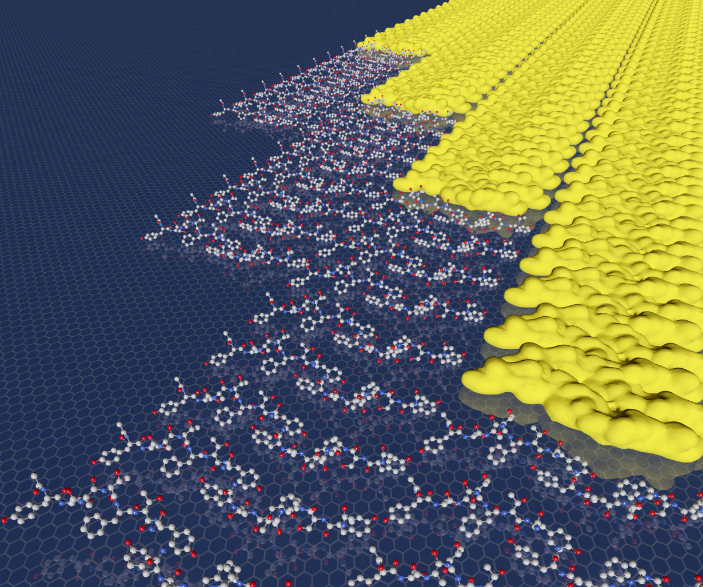 The peptides in this highly ordered two-dimensional array avoid the expected nucleation barrier by assembling in a row-by-row fashion. @ PNNL