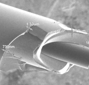 BN coated SiC fibers