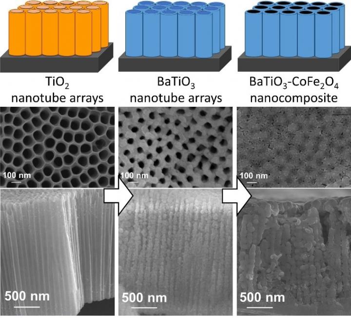 These are illustrations (upper picture) and electron microscope images (lower image). @ Toyohashi University of Technology.