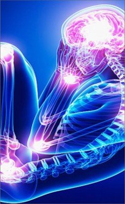 APH-1502: Nanotherapy for Chemotherapy-Induced Peripheral Neuropathic Pain (CIPNP)