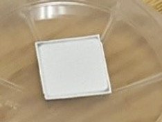 ZnMgO nanowires