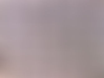 Snake Scales Protect Steel against Friction