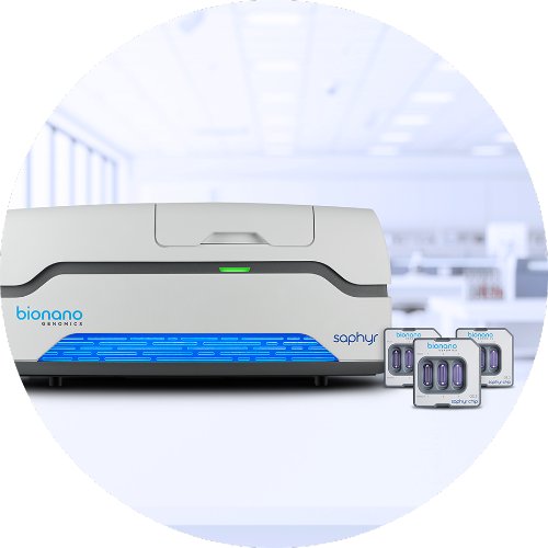 OGM (Optical Genome Mapping)