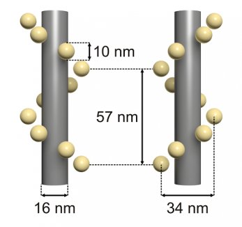 Gold Nanohelices (L/R)