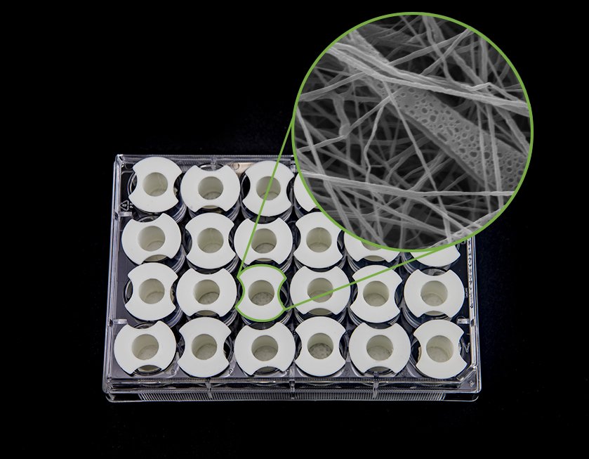 InoMATRIX Transwell Inserts - Porous