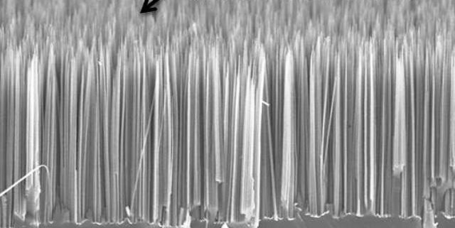 Si Nanowire Arrays