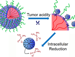 Nanoparticles deliver anticancer cluster bombs