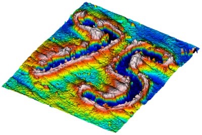 TrueMap 6