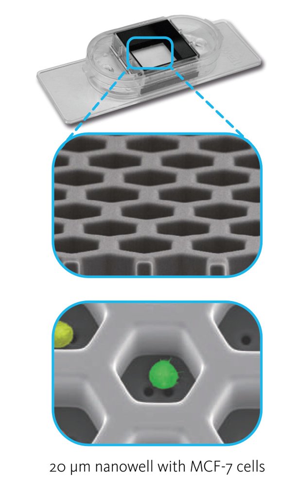 Sievewell nanowells slides