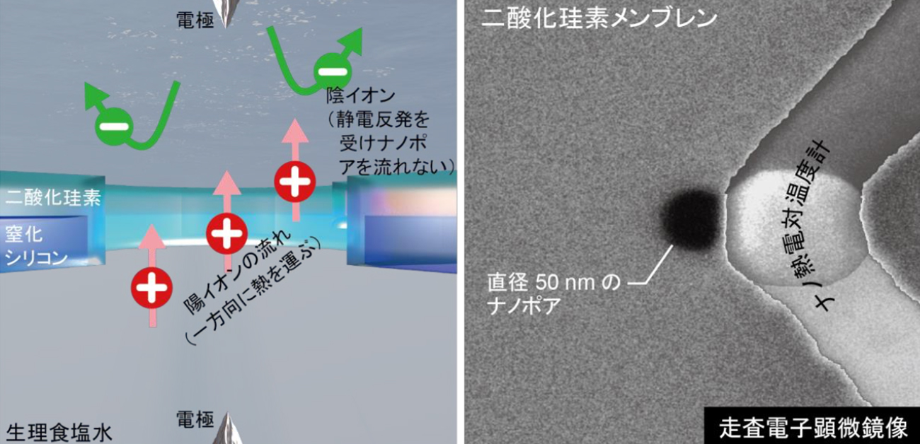 Researchers from Osaka University take an in-depth look at cooling effects caused by charge carriers in permselective nanopores @ Credit: 2023 Tsutsui et al., Peltier cooling for thermal management in nanofluidic devices, Device