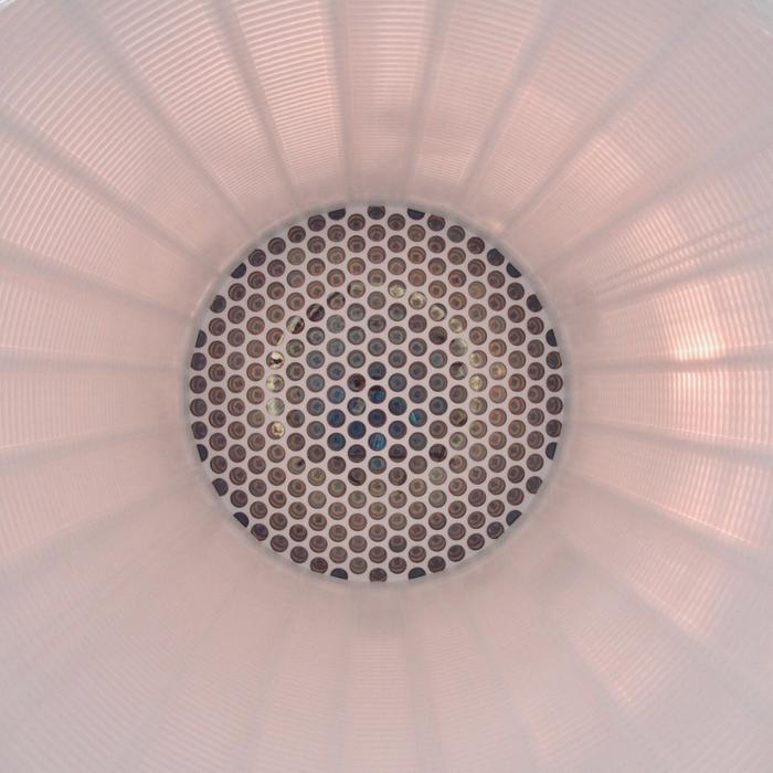 XENONnT: Look inside the Time Projection Chamber. @XENON Collaboration