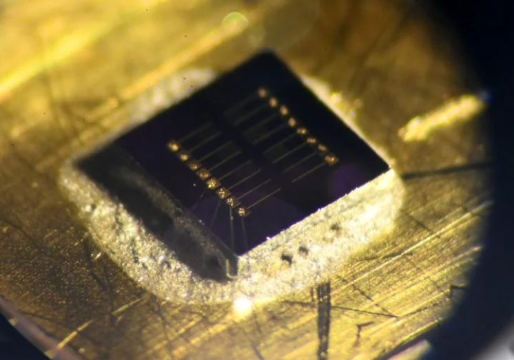 How nanotubes, nanoparticles and antibodies are used to detect tiny amounts of fentanyl. @ University of Pittsburgh