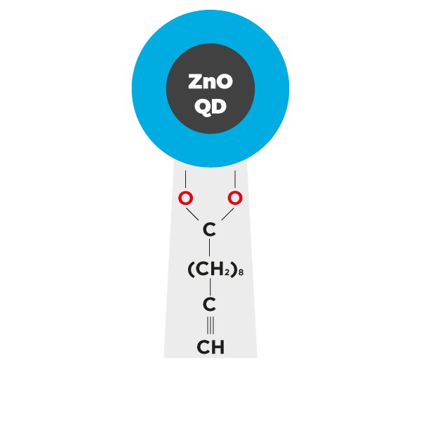 Clickable Zinc Oxide Quantum Dots (ZnO QDs) coated with 10-undecenoate ligands