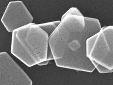 Utilizing tumor suppressor proteins to shape nanomaterials