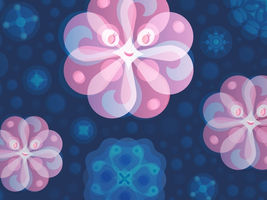 What are WIMPs, and what makes them such popular dark matter candidates?