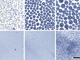 A new way to mix oil and water