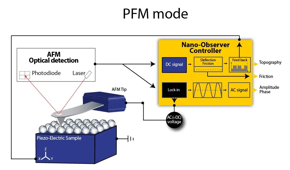 Nano-Observer Atomic Force Microscope (PFM Mode)