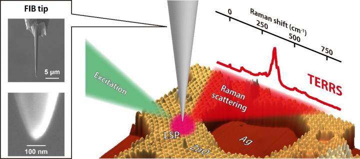 Tip-enhanced resonance Raman scattering is measured by a silver tip fabricated by focused ion beam (FIB) milling. Localized surface plasmon (LSP) is excited by an excitation laser, which generates enhanced Raman scattering from ultrathin zinc oxide (ZnO) films grown on a single-crystal silver (Ag) surface. @ Takashi Kumagai