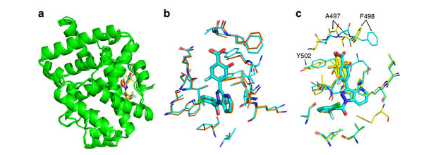 Co-crystal structure of RORγt with MRL-871, MRL-299, MRL-367 and MRL-673