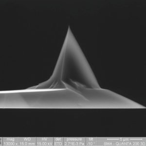 TiN tip coating