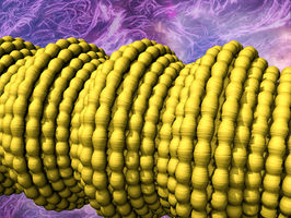 Scientists Stretch Electrically Conducting Fibers to New Lengths