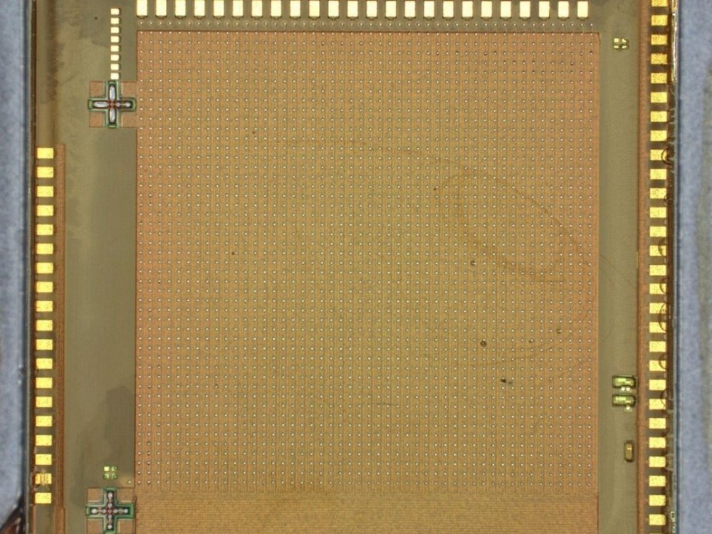 Detector Chips