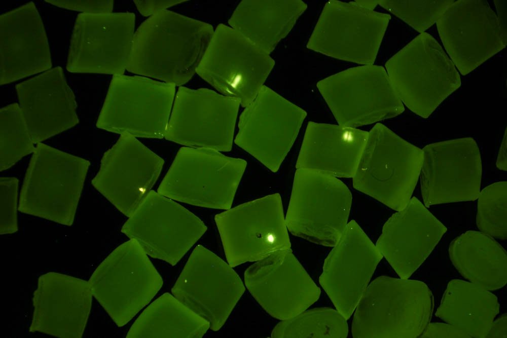 Fluorescence excitation flashlights and filter glasses