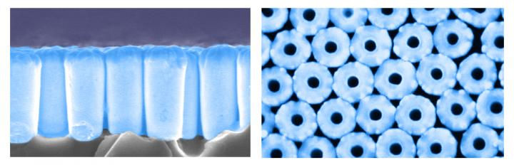 These are SEM images of a nanotube array: side view (left) and top view (right). @ UC San Diego Jacobs School of Engineering