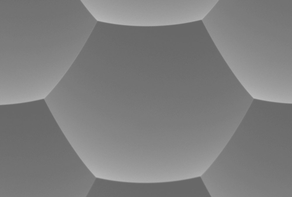 Custom Microlens Arrays (MLAs)
