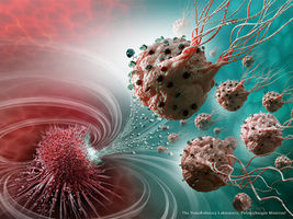 Legions of nanorobots target cancerous tumours with precision