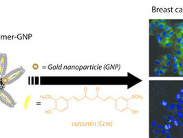 NYU Tandon researcher synthesizes hybrid molecule that delivers a blow to malignant cells