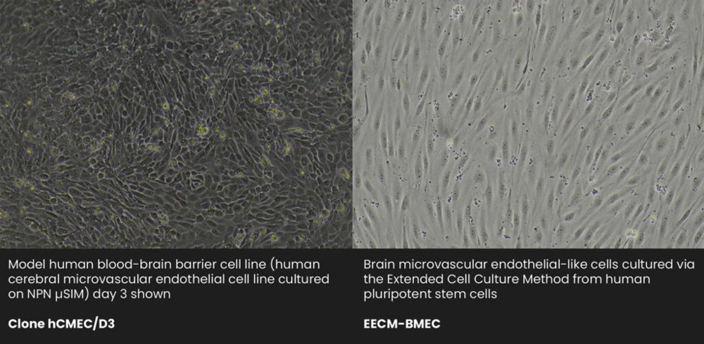 µSiM-CellVu Cultureware