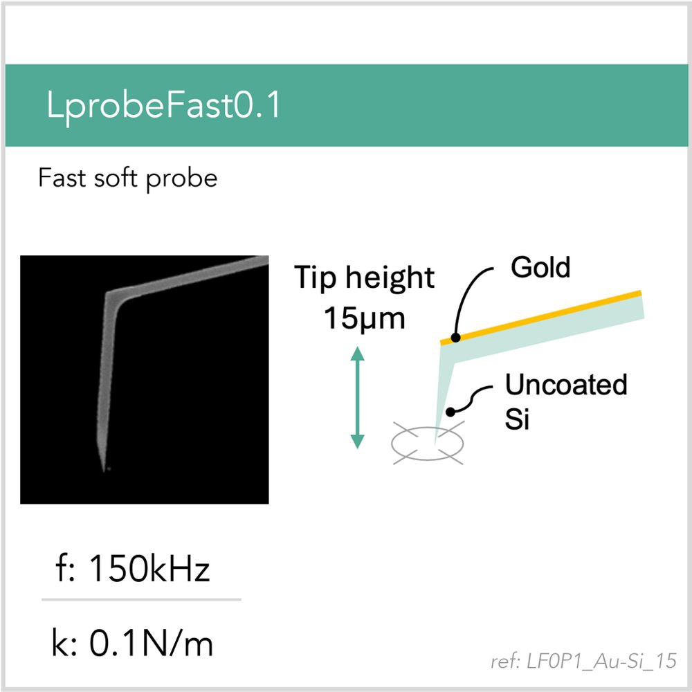 LprobeFast0.1 Au-Si (LF0P1_Au-Si_15)
