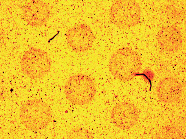 Image: Georgia Institute of Technology/Nature Nanotechnology