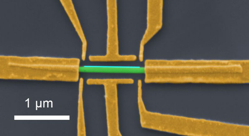 A nanowire device similar to those used in the study. The semiconducting nanowire (green), one-thousandth the width of a human hair, is coated with a superconductor (light blue) and electrically contacted with gold leads and electrostatic gates (yellow). (Credit: Shivendra Upadhyay / Sven Albrecht)