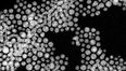 Nanosilver as an electrocatalyst for CO₂ reduction
