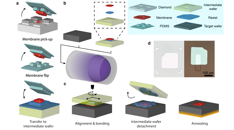 Image courtesy of Guo et al.