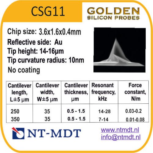CSG11