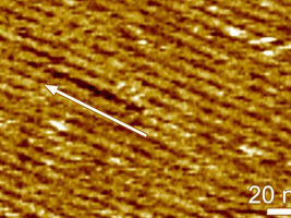 Flexible circuits made with silk and graphene