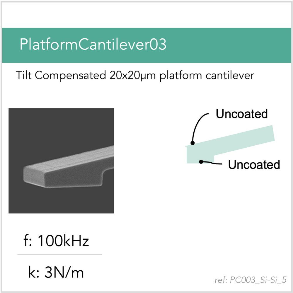 PC003_Si-Si_5 (PlatformCantilever03 Si-Si)