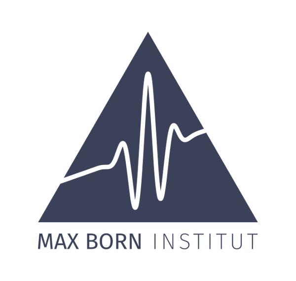 Max Born Institute for Nonlinear Optics and Short Pulse Spectroscopy logo