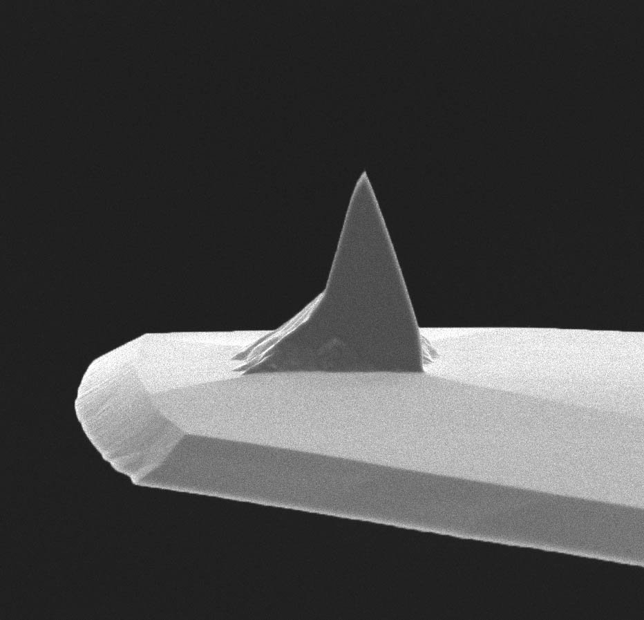 HQ:CSC17/Al BS Contact Mode AFM Probe